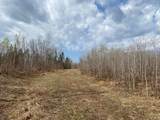 NEAR Wilson Lake Rd - Photo 3