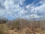 NEAR Wilson Lake Rd - Photo 4