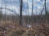 NEAR Wilson Lake Rd - Photo 6