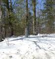 Lot 2 Bo Di Lac Rd - Photo 11