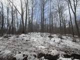 Lot 2 Bo Di Lac Rd - Photo 5