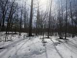 Lot 2 Bo Di Lac Rd - Photo 7