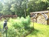 11875 Thoma Dr - Photo 13