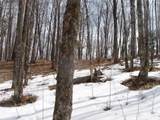 80580 Schwilk Rd - Photo 36