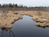 80580 Schwilk Rd - Photo 38