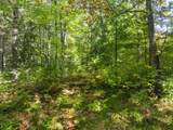 Lot 2 Lake Yawkey Dr - Photo 5