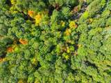Lot 2 Lake Yawkey Dr - Photo 8