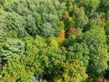 Lot 5 Lake Yawkey Dr - Photo 5