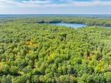 Lot 6 Lake Yawkey Dr - Photo 2
