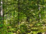 Lot 6 Lake Yawkey Dr - Photo 9