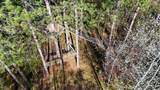 7849 Hwy 51 - Photo 9