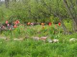8725W River Rd - Photo 11