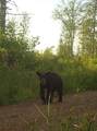 8725W River Rd - Photo 18