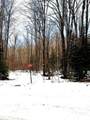 4378N Kimmear Rd - Photo 1