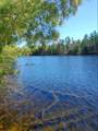 14903 Chequamegon Forest Tr - Photo 10