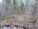 14903 Chequamegon Forest Tr - Photo 14