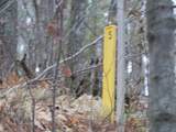 14903 Chequamegon Forest Tr - Photo 15