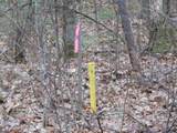 14903 Chequamegon Forest Tr - Photo 17