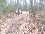 14903 Chequamegon Forest Tr - Photo 9