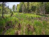 Lot 13 Memory Ln - Photo 22