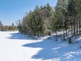 13794 Priest Point Ln - Photo 40