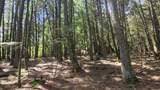 Lot 3 Staehling Rd - Photo 6
