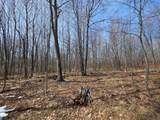 7694 County Park Rd - Photo 53