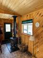 17166 Roddis Line Rd - Photo 12