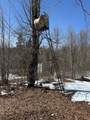 17166 Roddis Line Rd - Photo 18