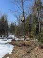 17166 Roddis Line Rd - Photo 20