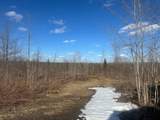 17166 Roddis Line Rd - Photo 31