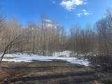 17166 Roddis Line Rd - Photo 40