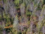 ON Hwy 17 - Photo 15