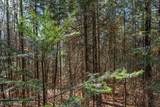 ON Hwy 17 - Photo 17