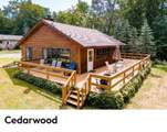  Maplewood Ln - Photo 21