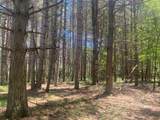 Lot 4 Little Pond Ln - Photo 11
