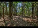 Lot 2 Memory Ln - Photo 5
