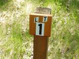 ON Hwy 169 - Photo 21