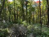 Off County Line Lake Rd - Photo 17
