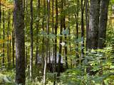 Off County Line Lake Rd - Photo 19