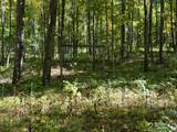 Off County Line Lake Rd - Photo 20