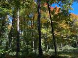 Off County Line Lake Rd - Photo 22