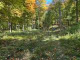 Off County Line Lake Rd - Photo 23