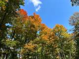 Off County Line Lake Rd - Photo 24