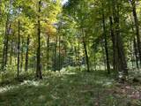 Off County Line Lake Rd - Photo 25