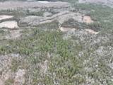 7685 Old B Rd - Photo 1