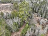 7685 Old B Rd - Photo 13