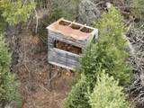 7685 Old B Rd - Photo 14