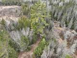 7685 Old B Rd - Photo 4