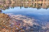 1289 Gerri Ct - Photo 61
